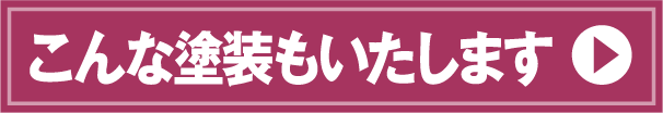 こんな塗装もいたします