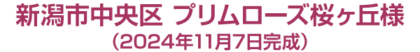 新潟市***